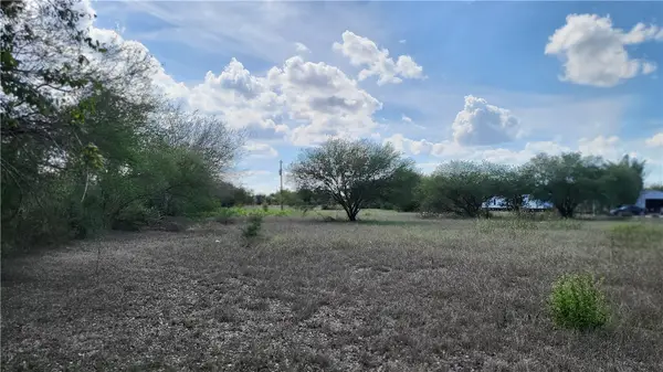 301 S County Road 307, Orange Grove, TX 78372