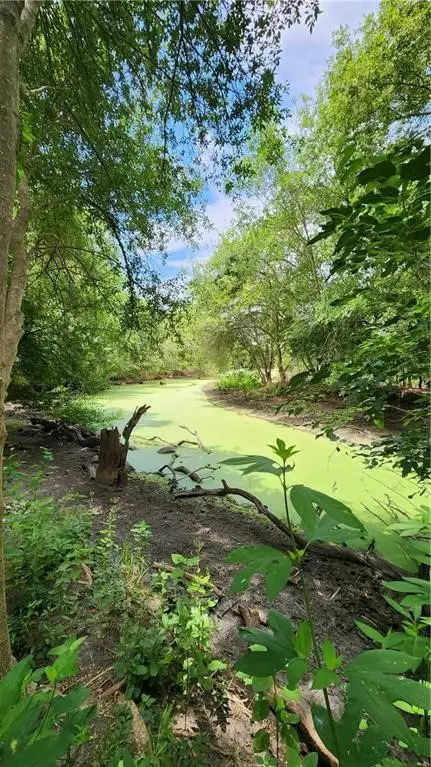 1249 Cr 772, Natalia, TX 78059 - Image #3