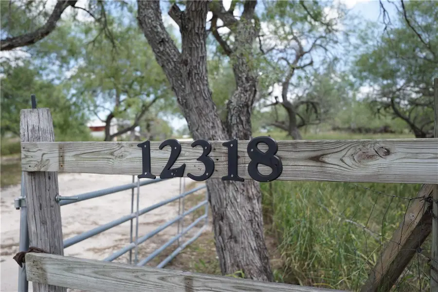 12318 Highway 359, Sandia, TX 78383 - Image #3