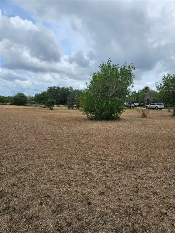 211 County Road 310, Orange Grove, TX 78372 - Image #2