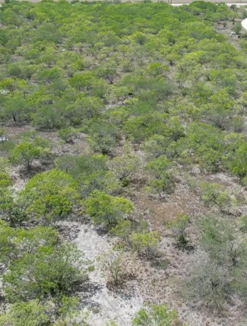 0 Fm 2049, Three Rivers, TX 78071 - Image #3