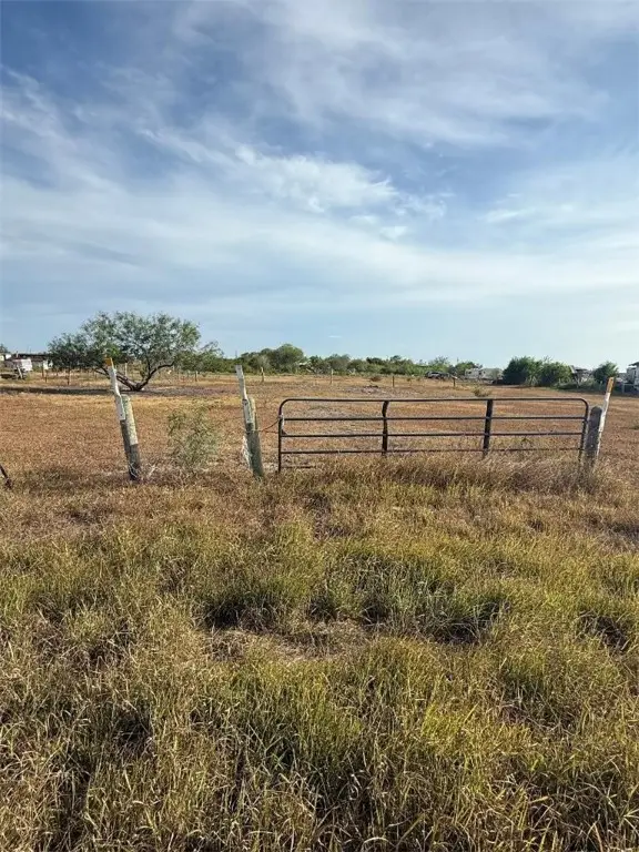 00 County Rd 24 Road, Robstown, TX 78380 - Image #1