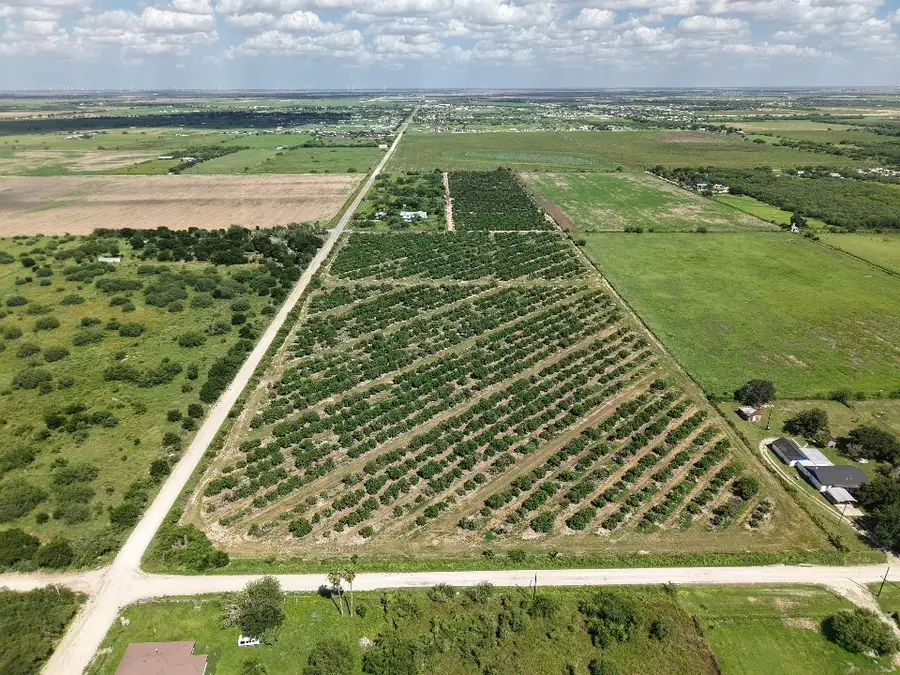 TBD Filegonia, Edcouch, TX 78538 - Image #2