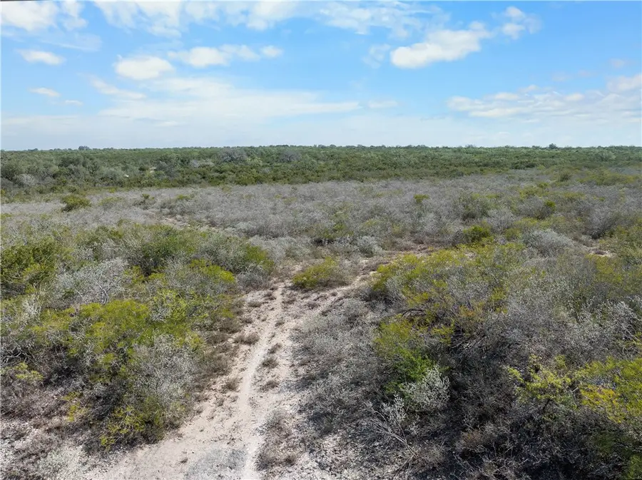 TBD County Road 343, George West, TX 78022 - Image #3