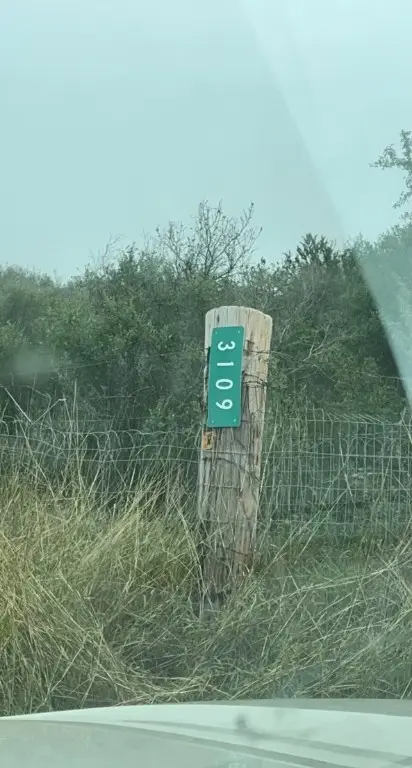 2979 Bravo Road 2, Freer, TX 78357 - Image #3