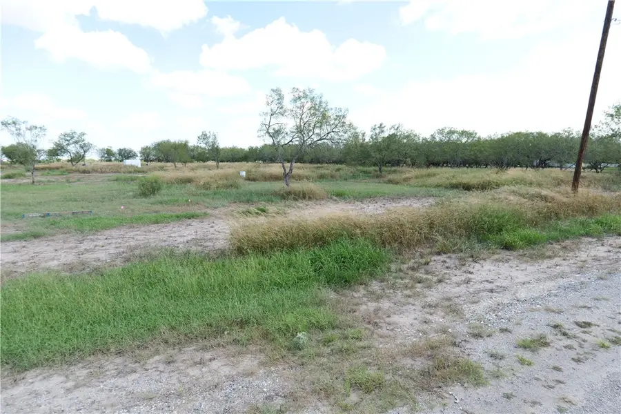 5960 Sweet Water Road, Robstown, TX 78380 - Image #3