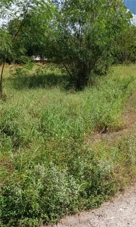 612 N South Street, Mathis, TX 78368 - Image #2