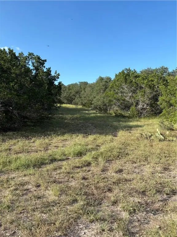 41 White Tail Run, Uvalde, TX 78801 - Image #2