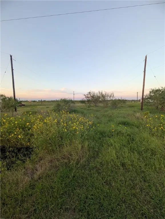 4172 County Road 1177, Portland Gregory, TX 78374 - Image #3