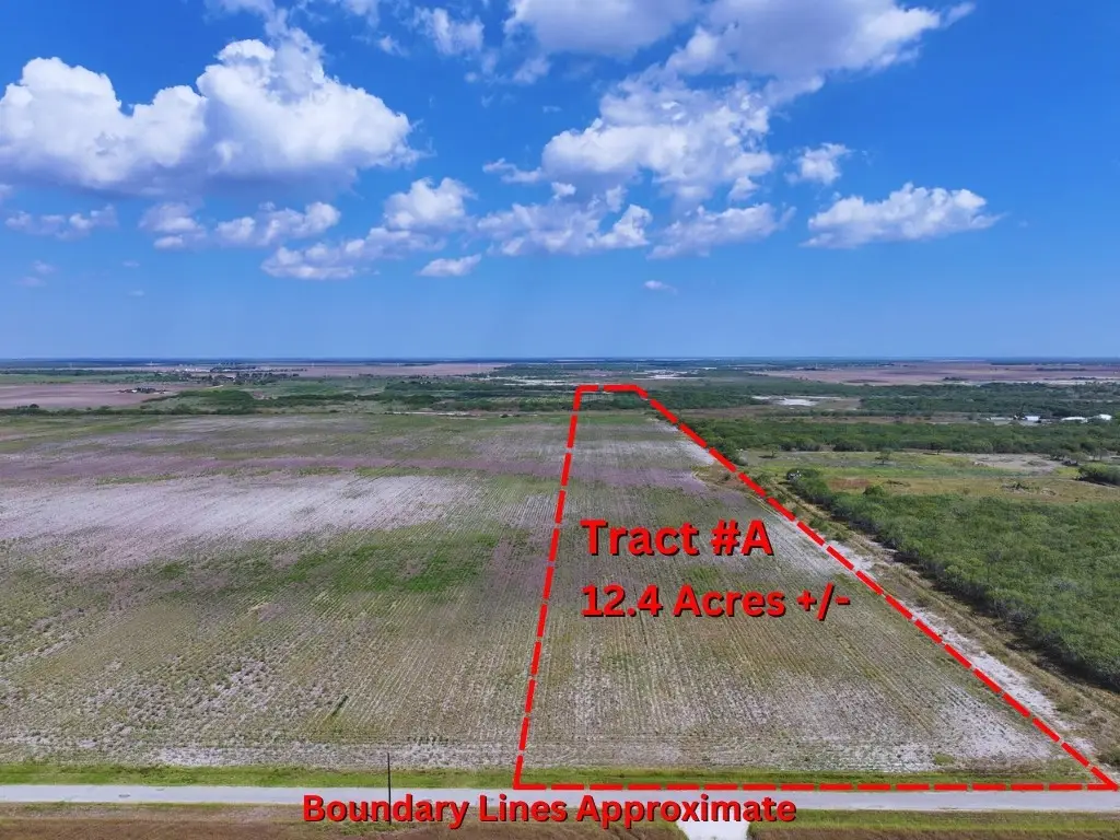 TBD County Rd 1070 S, Kingsville, TX 78363 - Image #1