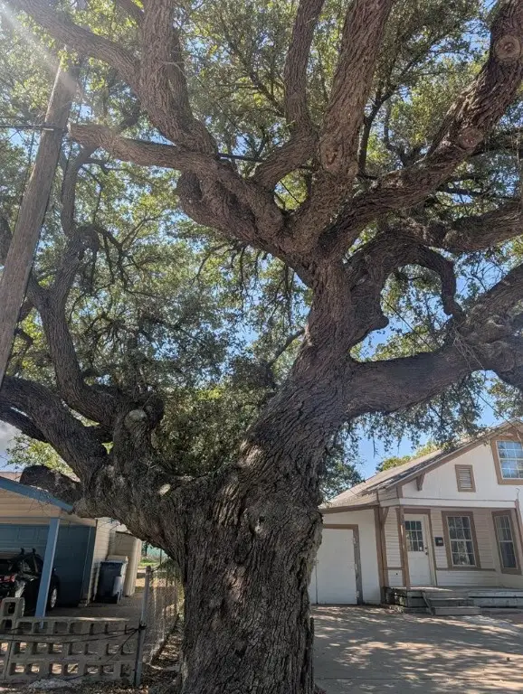 909 N Live Oak Street, Rockport, TX 78382 - Image #3