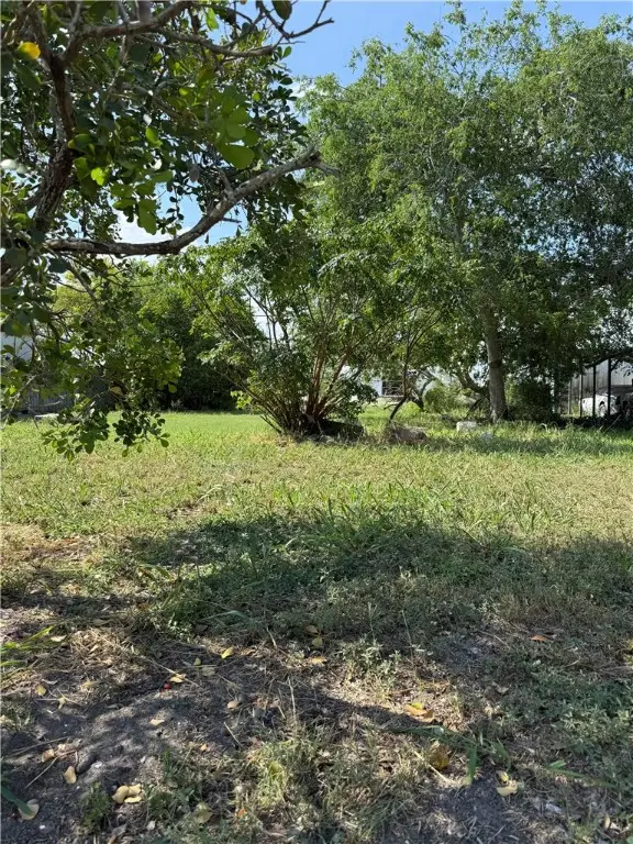 541 Van Cleve Drive, Corpus Christi, TX 78408 - Image #3