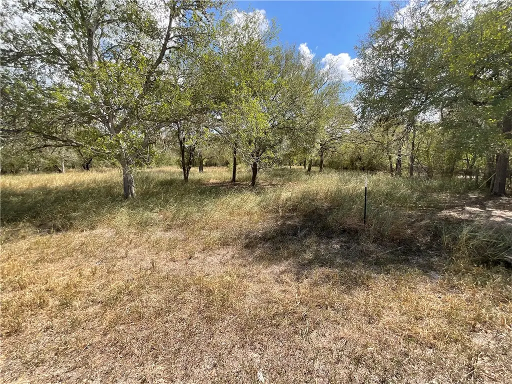 6385 Easley, Sandia, TX 78383 - Image #1