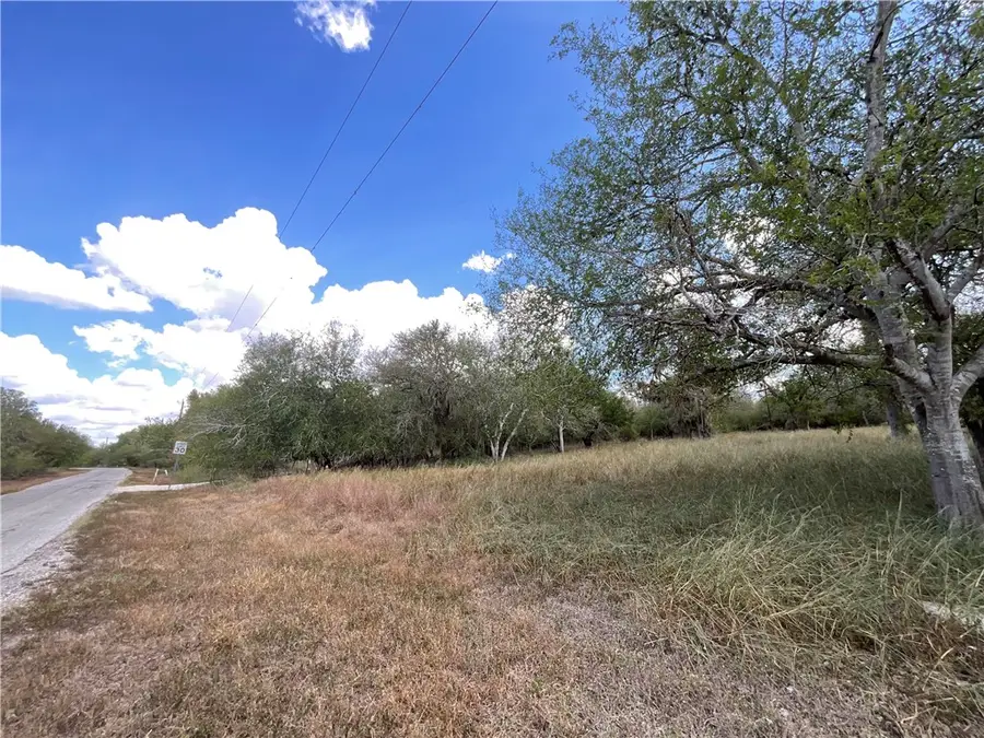 6385 Easley, Sandia, TX 78383 - Image #2