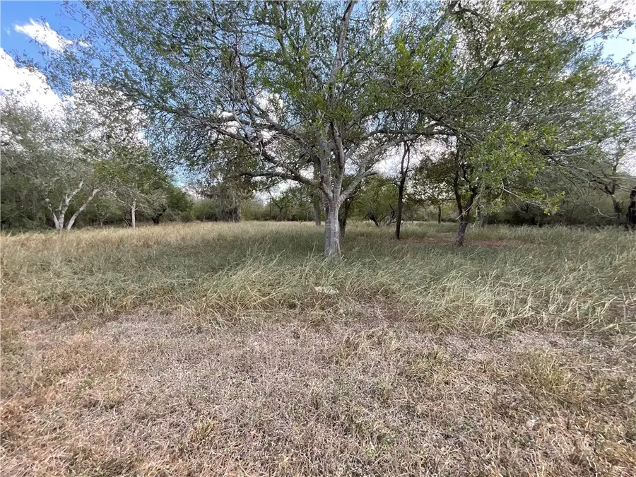 6385 Easley, Sandia, TX 78383 - Image #3