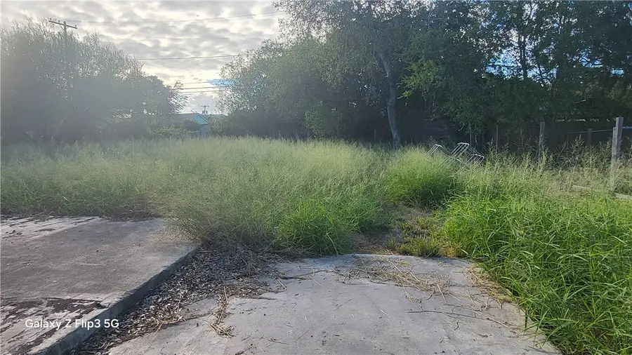 1013 Dona Drive, Corpus Christi, TX 78407 - Image #3