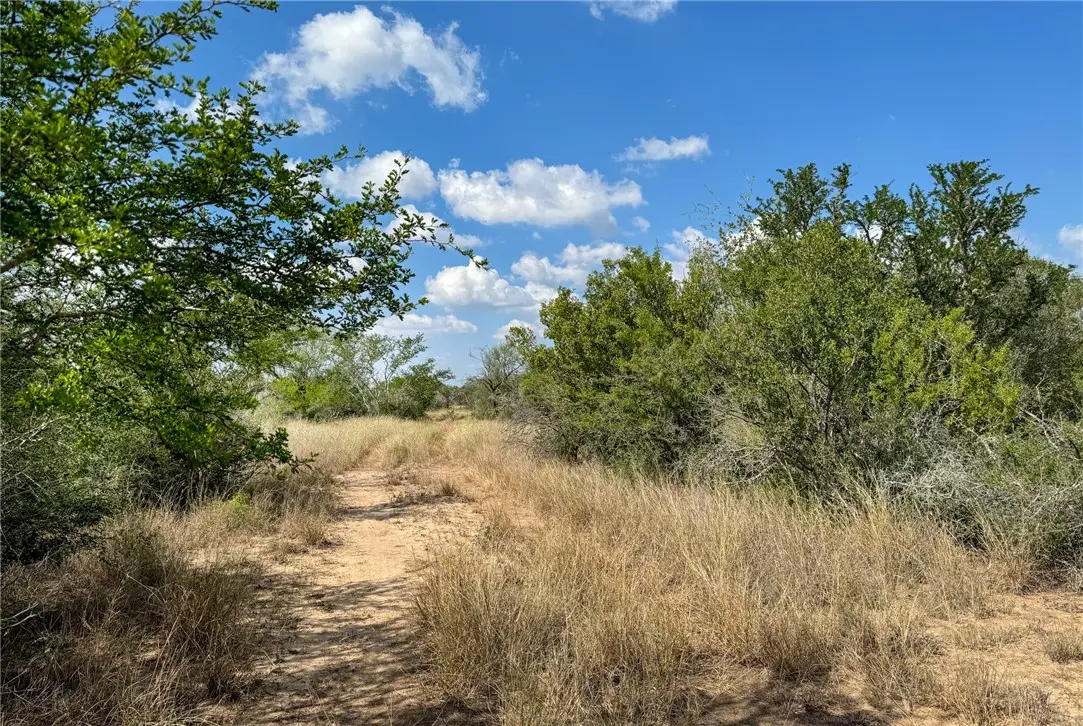 100 Cr 147, George West, TX 78022 - Image #1
