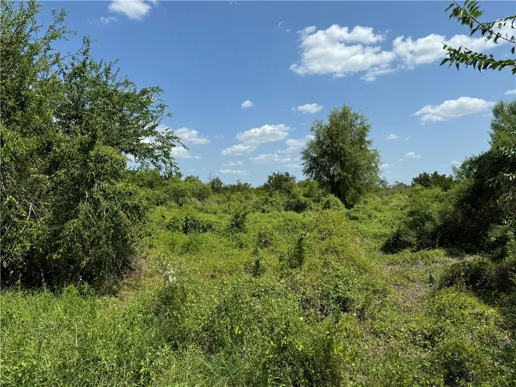 000 Deer Run Trace, Three Rivers, TX 78071 - Image #1