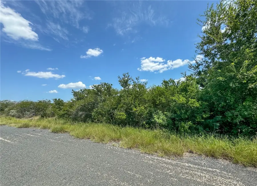 000 Deer Run Trace, Three Rivers, TX 78071 - Image #2