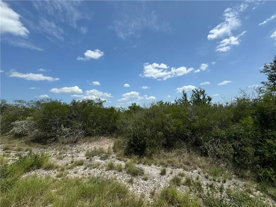 000 Deer Run Trace, Three Rivers, TX 78071 - Image #3
