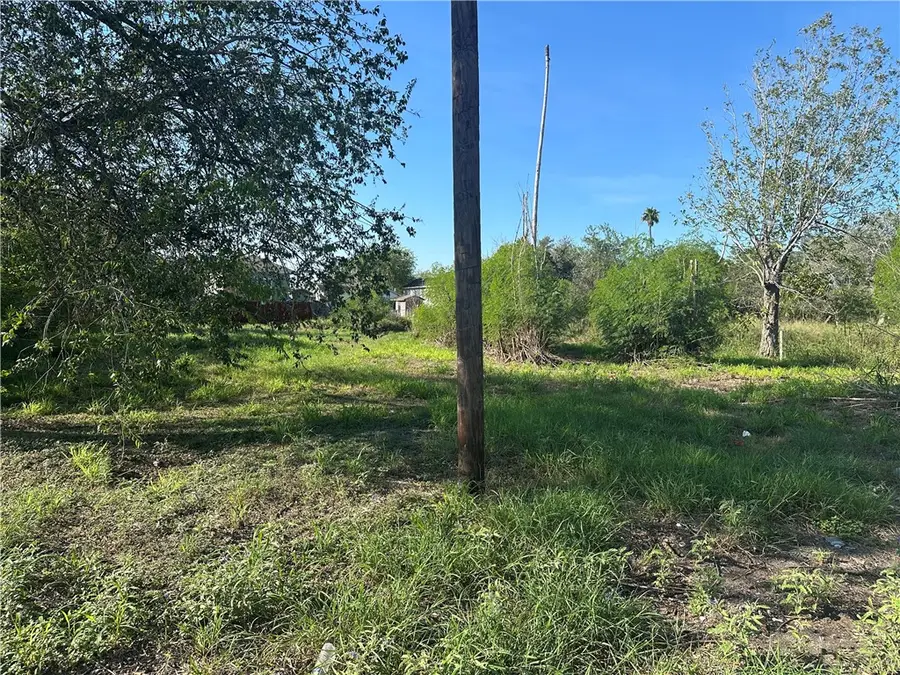 910 Indiana Street, Robstown, TX 78380 - Image #3