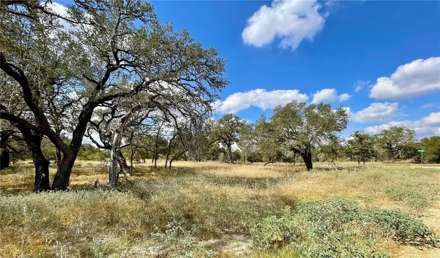 265 Firewheel Loop, Floresville, TX 78114 - #2