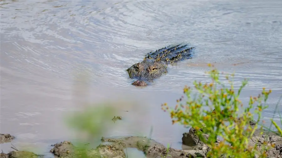 0 County Road 215- 20 Acres, McCoy, TX 78113 - Image #2