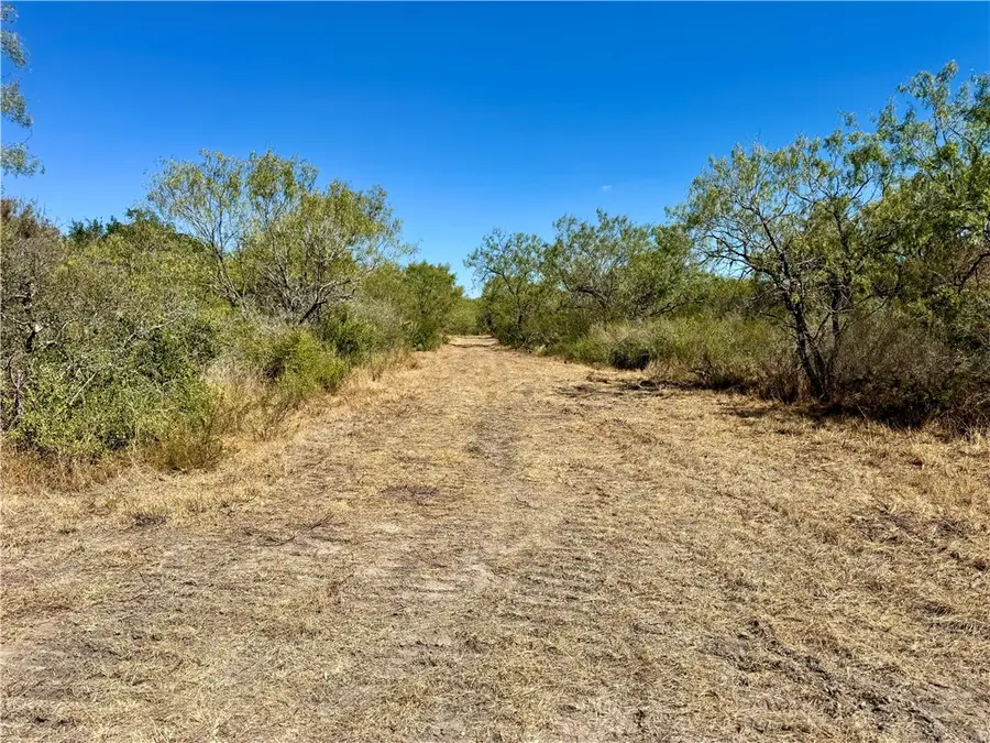 0 County Road 215- 20 Acres, McCoy, TX 78113 - Image #3