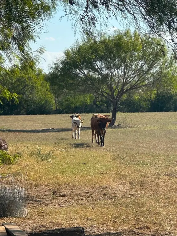 289 E County Road 2150, Kingsville, TX 78363 - Image #3