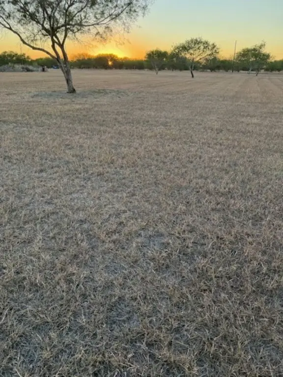 3872 Cobb Lane, Robstown, TX 78380 - Image #3