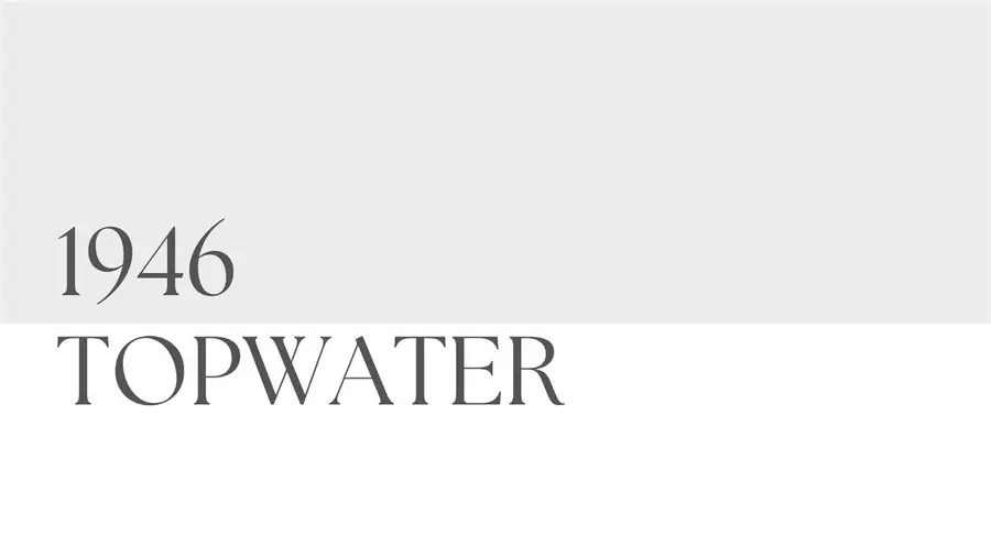 1946 Topwater, Aransas Pass, TX 78336 - Image #2