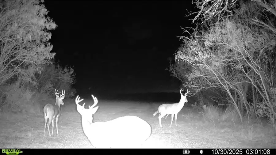 0 County Road 215- 30 Acres, McCoy, TX 78113 - Image #2