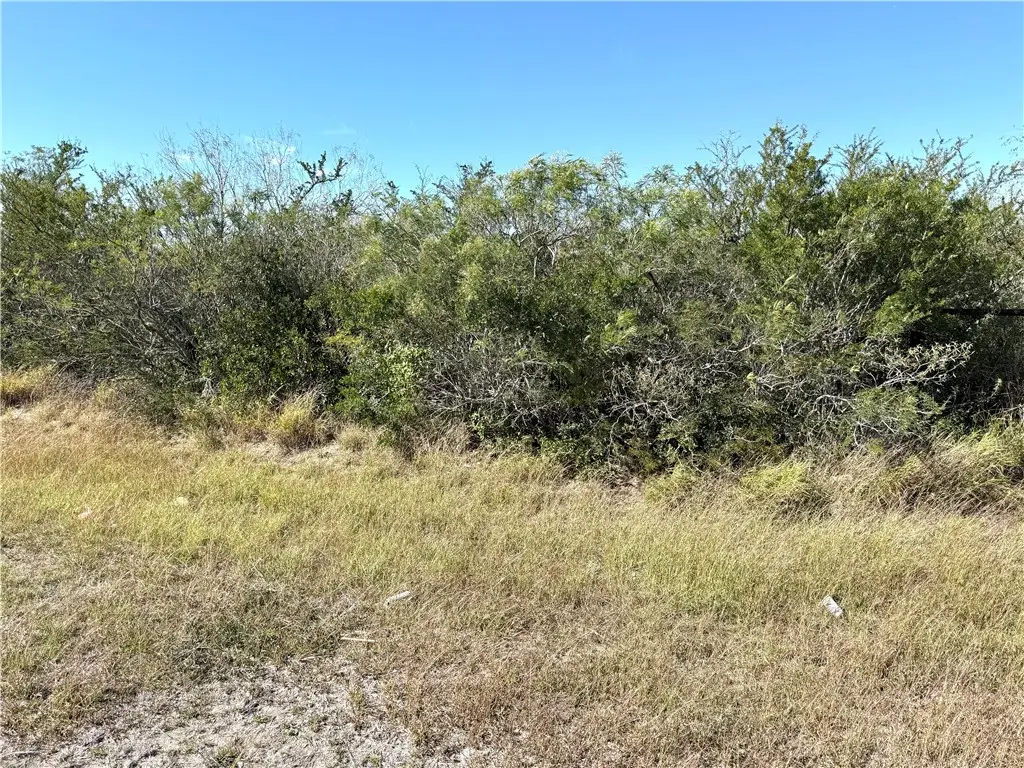 2647 Highway 359, Benavides, TX 78341 - Image #1