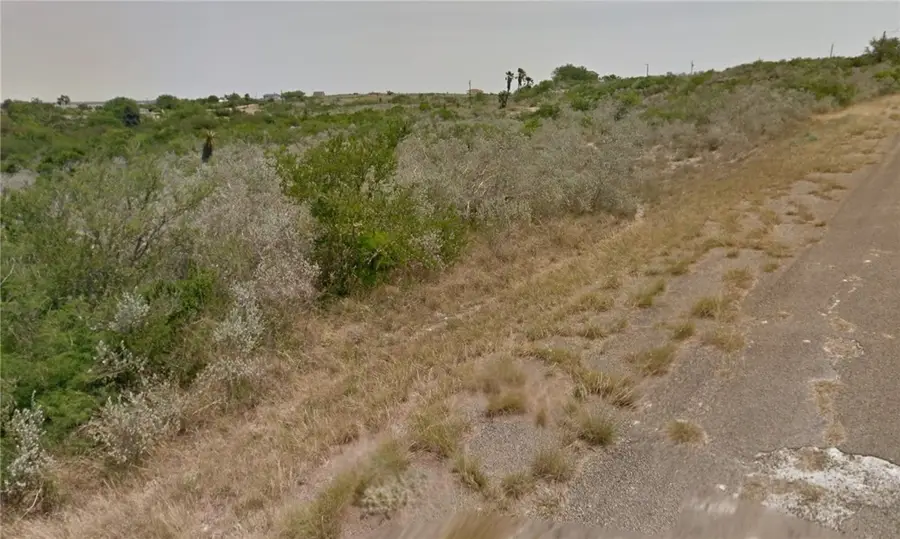 Lot 13 Blueridge Dr, Sandia, TX 78383 - Image #3