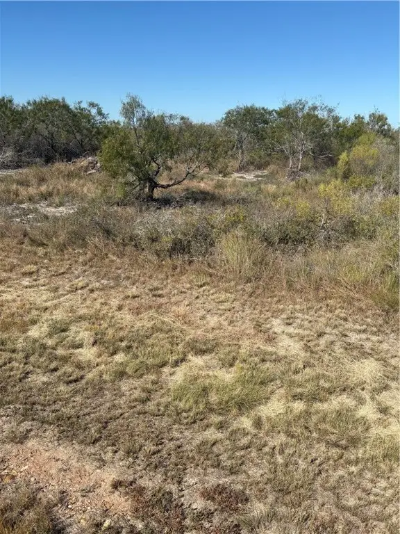 538 Water Oak Lane, Rockport, TX 78382 - Image #3