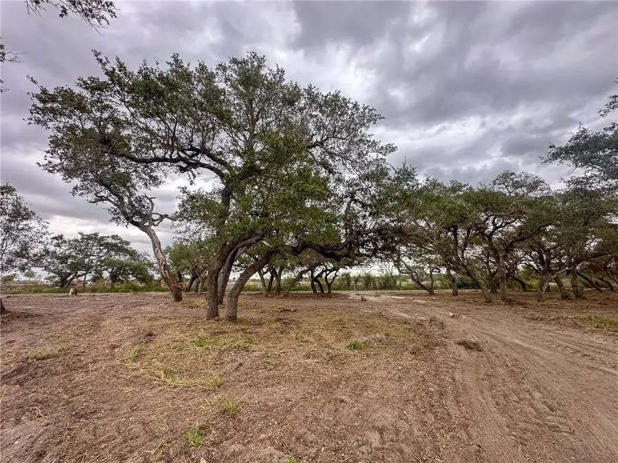 2555 Jocelyn Road, Aransas Pass, TX 78336 - Image #2