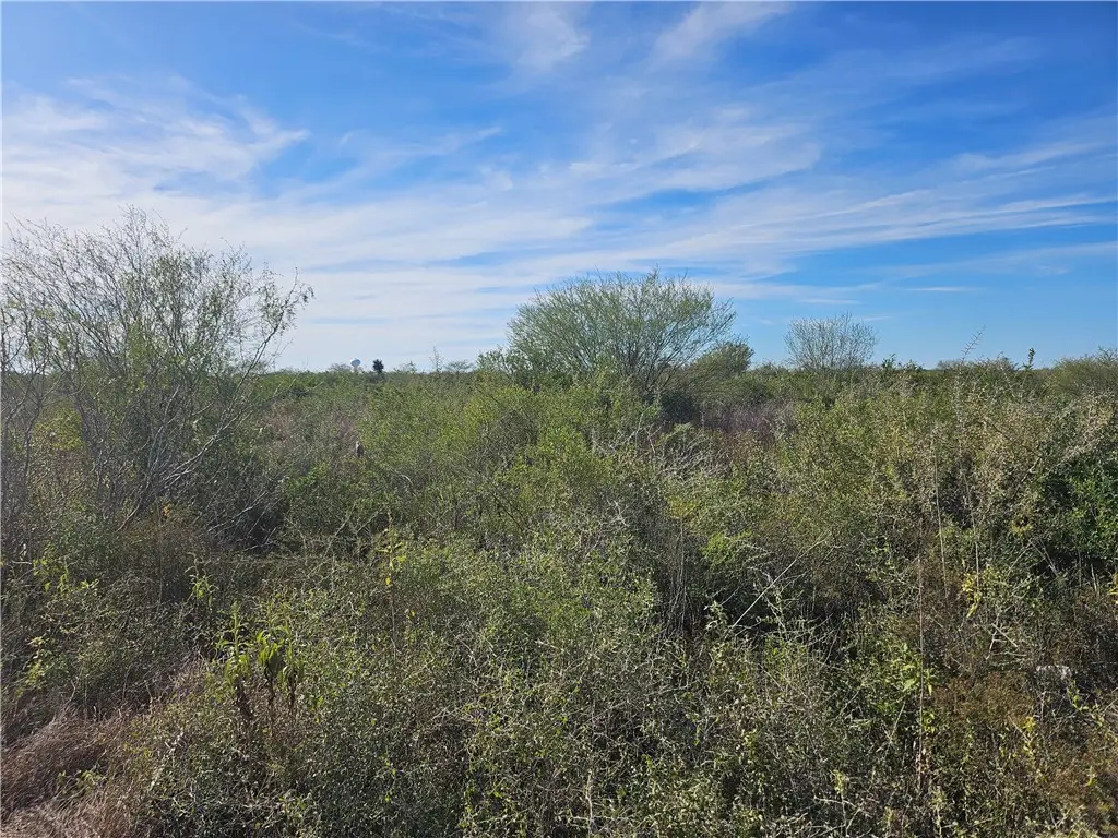 11 County Road 1431, Ben Bolt, TX 78384 - Image #1