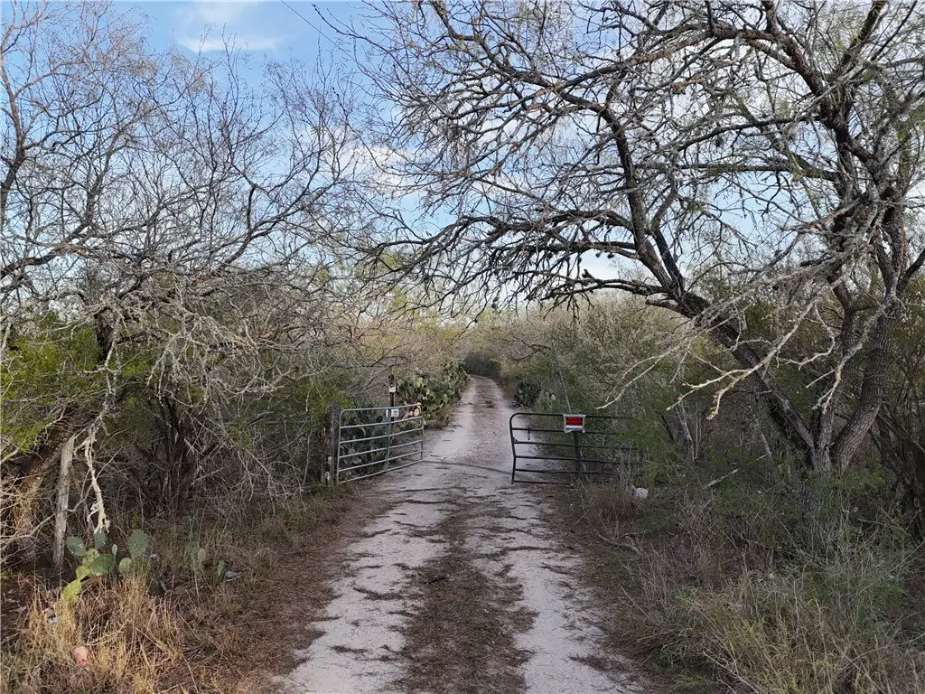 4043 County Road 308, Orange Grove, TX 78372 - Image #1