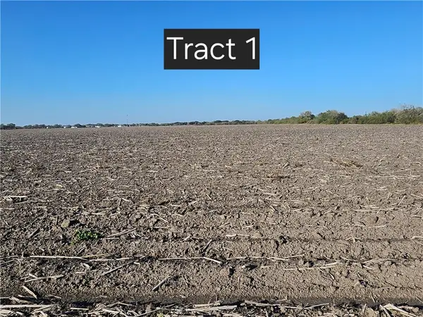 Tract 1 W Escondido Road, Kingsville, TX 78363