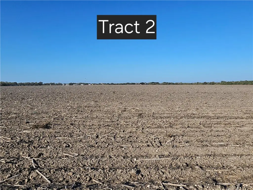 Tract 2 W Escondido Road, Kingsville, TX 78363 - Image #1