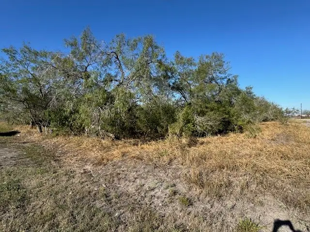 TBD Frio, Tynan, TX 78391 - Image #3