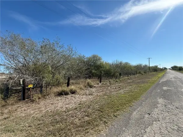 LOT 16 County Road 1110 S, Riviera, TX 78379