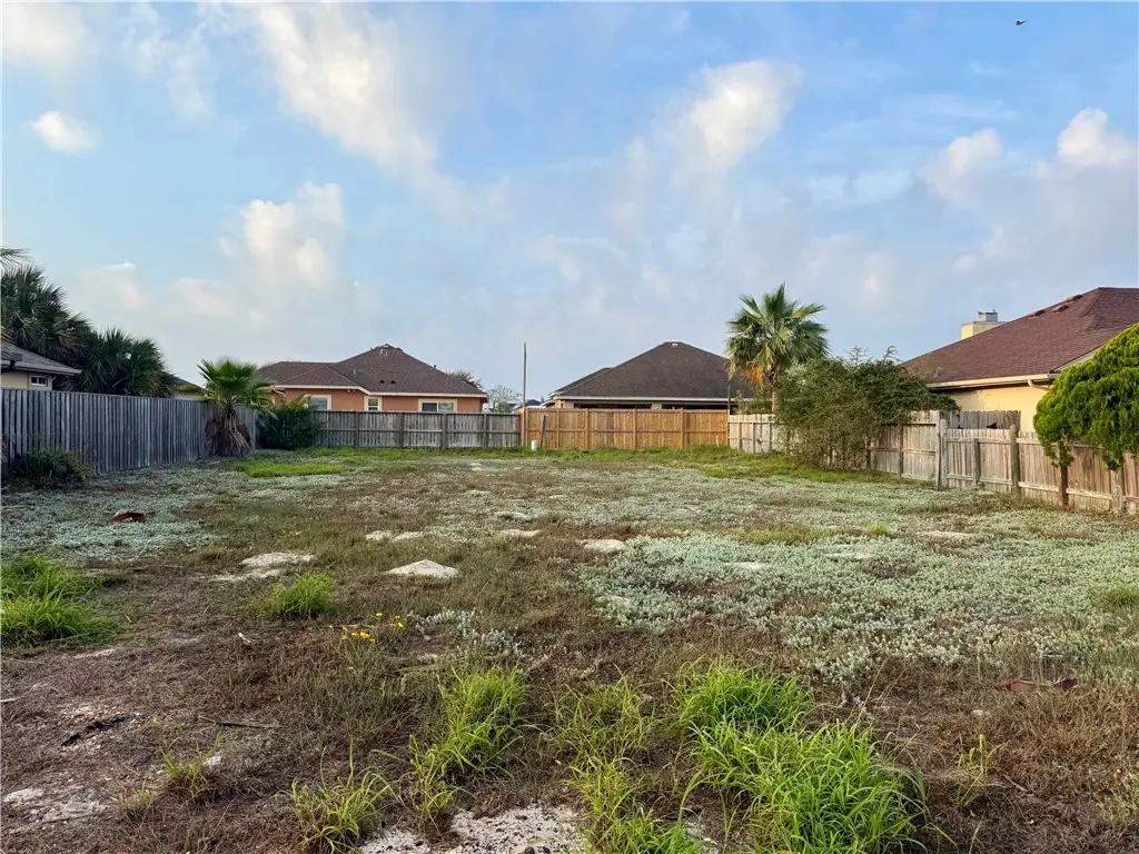 14229 Natal Plum Drive, Corpus Christi, TX 78418 - Image #1