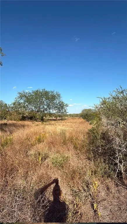190 Santos Rd, Realitos, TX 78376 - Image #2