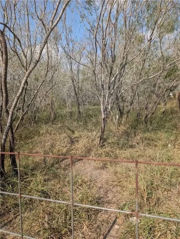 4901 Amber Road, Robstown, TX 78380 - Image #2