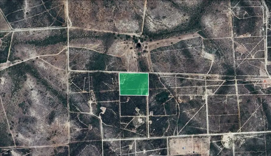 00 Blackbrush Spur, George West, TX 78022 - Image #3