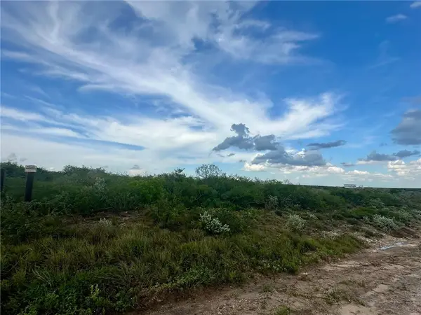 298 Double Eagle, George West, TX 78022