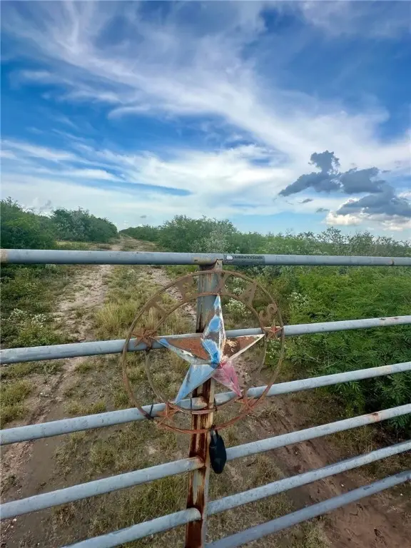 132 Mesquite Spur, George West, TX 78022 - Image #2