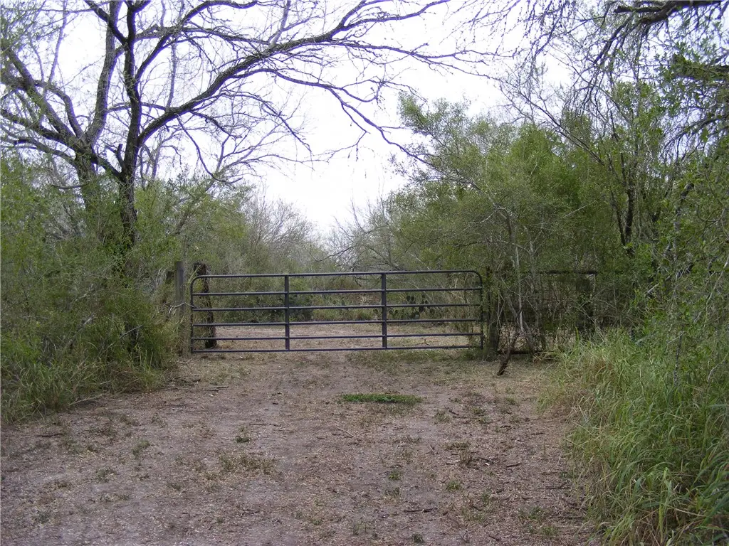 10722 County Road 249, Mathis, TX 78368 - Image #1