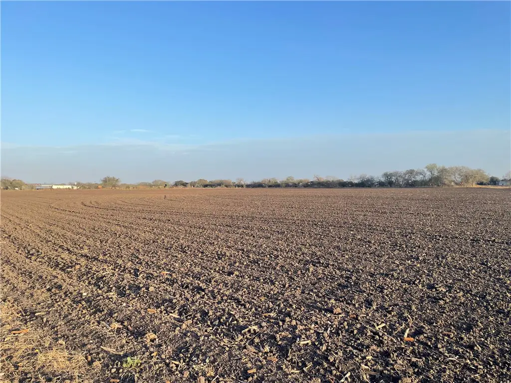 Lot 3 County Road 732, Sinton, TX 78387 - Image #1